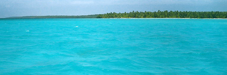 The turquoise waters of Isla Saona